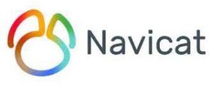 Navicat for MySQL 15.0.23 Crack